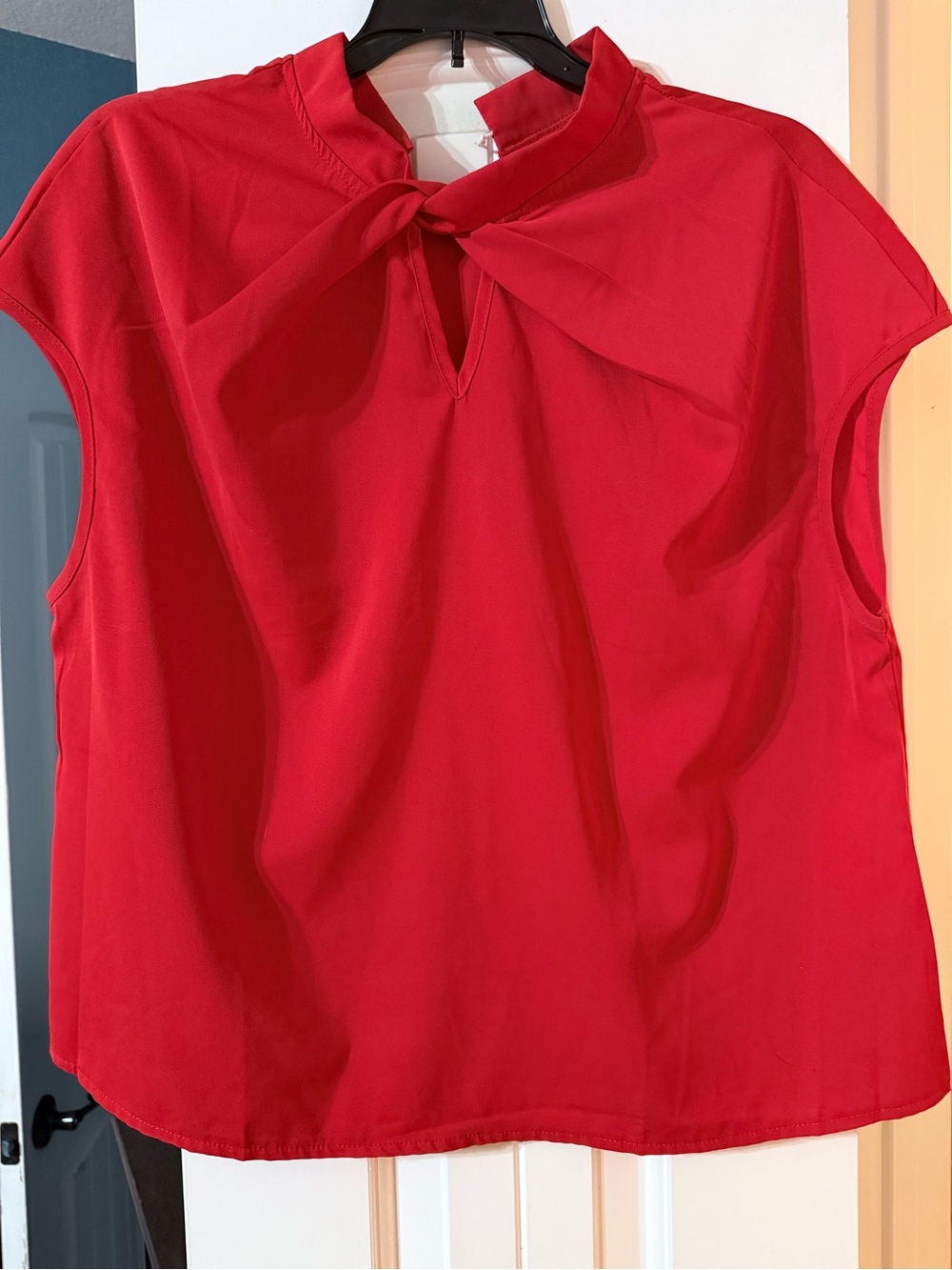 Red Tie-Neck Sleeveless Blouse - Women